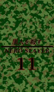 copertina ns11