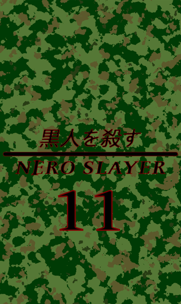 copertina ns11