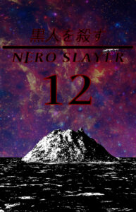 copertina ns12