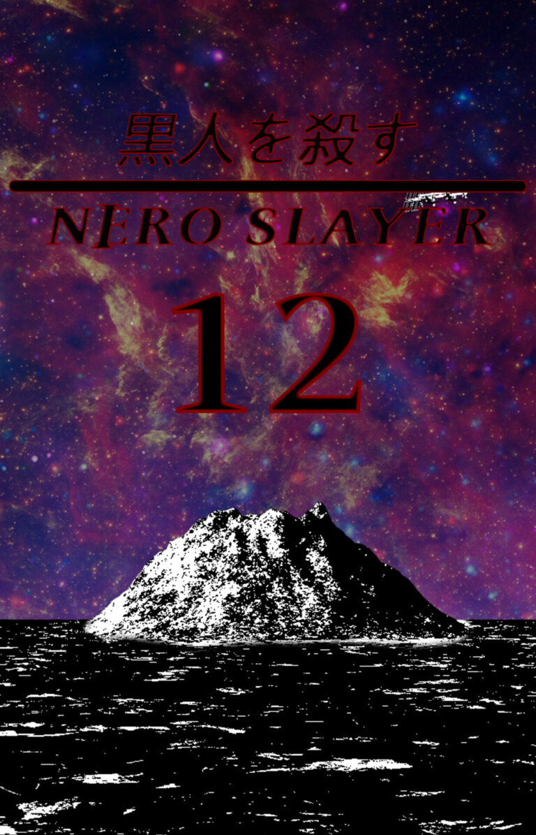 copertina ns12